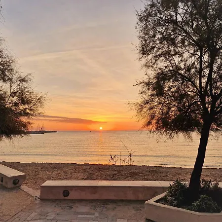 Au Lavandou - 4 Couchages, Climatisé, Balcon, Piscine, Parking Inclus - Fr-1-251-480 Appartamento *
